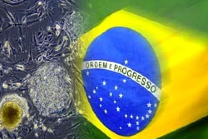 ppcelulasbrasil210708