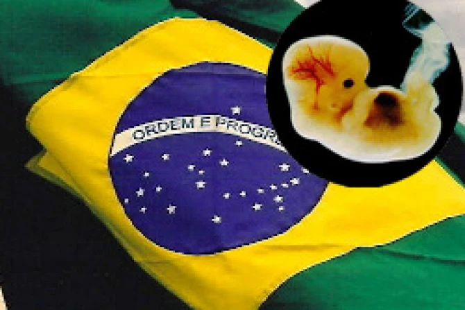 ppfetobrasil050208