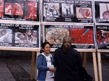 A student at the University of British Columbia explains the GAP display
