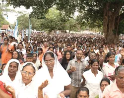 Sri Lankans participating in record numbers at the Festive Eucharistic Celebration?w=200&h=150