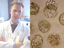 Professor Colin McGuckin