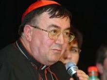 Cardinal Vinko Puljic
