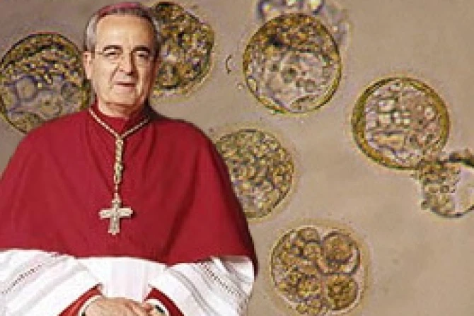 pprigalicelulas300408