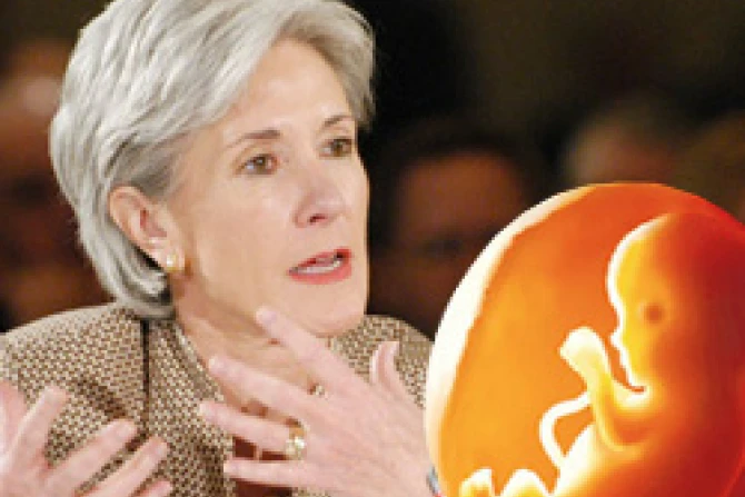 ppsebeliusfeto090309