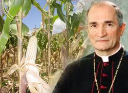 Archbishop Silvano Tomasi?w=200&h=150