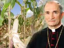 Archbishop Silvano Tomasi