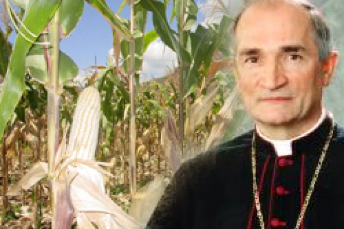 pptomasiagricola230508