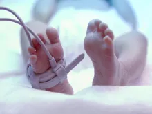 Feet of a newborn baby in an incubator. 