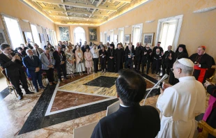 Pope Leo XIV on July 17, 2025, meets with a U.S. ecumenical group led by Cardinal Joseph Tobin and Greek Orthodox Archbishop Elpidophoros of America, encouraging them to “return to the roots of our faith” in their pilgrimage to Italy and Turkey. Credit: Vatican Media