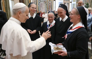 Pope Leo XIV greets Catholic pilgrims from Russia during an audience in the Vatican’s Apostolic Palace on Oct. 17, 2025. Credit: Vatican Media