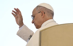 Pope Leo XIV blesses pilgrims in St. Peter’s Square during an audience for the Jubilee of Hope on Oct. 4, 2025. Credit: Vatican Media