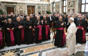 Pope Leo XIV holds an audience with the Roman Rota on Nov. 21, 2025, at the Vatican. Credit: Vatican Media