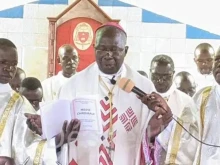 Bishop Sosthène Ayikuli Udjuwa is the apostolic administrator of the Congolese Wamba Diocese.