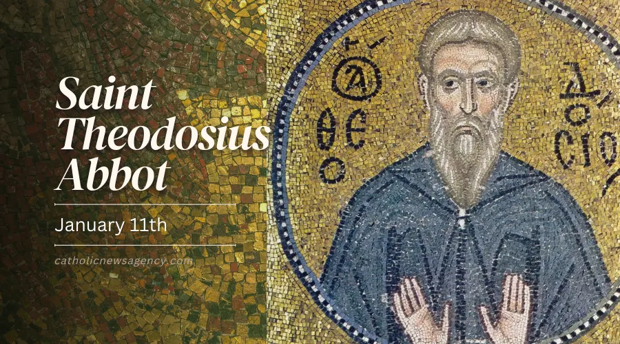 St. Theodosius Abbot