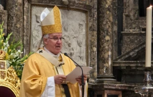 Archbishop José Ángel Saiz Meneses of Seville, Spain. Credit: Photo courtesy of Archdiocese of Seville