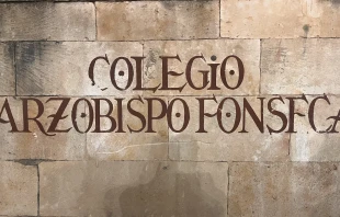From the Irish College building in Salamanca, the Colegio Arzobispo Fonseca. Credit: Patrick J. Passmore