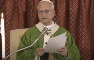 Pope Leo XIV preaches at the historic Rotonda church in Albano, Aug. 17, 2025. Credit: Vatican media screenshot