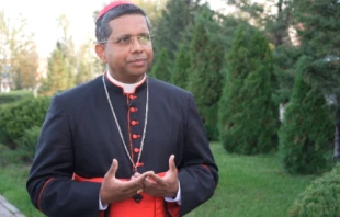 Cardinal George Jacob Koovakad speaks to EWTN News in September 2025. Credit: EWTN News