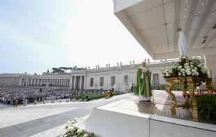 Through the example of Mary, Pope Leo on Oct. 12, 2025, in St. Peter’s Square said the Church can see the “revolutionary nature of love and tenderness” and its impact on the events of history as well as the everyday lives of each individual. Credit: Vatican Media