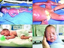 Shiryu Juárez Medina