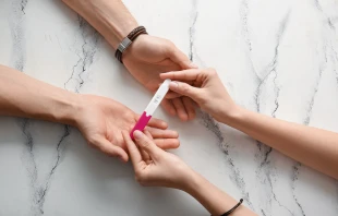 null Credit: Pixel-Shot/Shutterstock