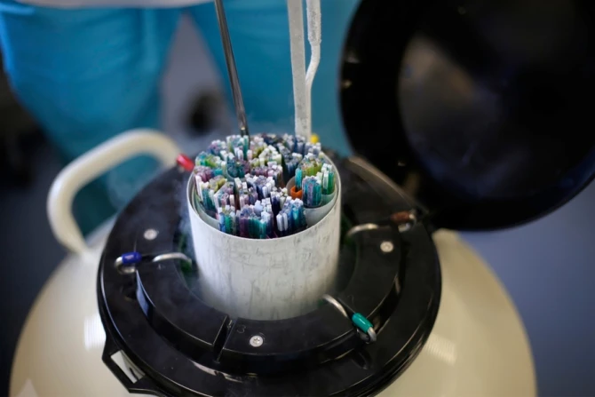 shutterstock 1013811502