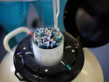 Frozen embryos being removed from liquid nitorgen 