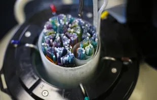 A dewar with liquid nitrogen straws with frozen embryos and egg cells.   Ekaterina Georgievskaia/Shutterstock