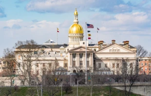 New Jersey state capitol building in Trenton. Paul Brady Photography / Shutterstock