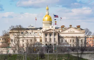 New Jersey state capitol building in Trenton. Paul Brady Photography / Shutterstock 
