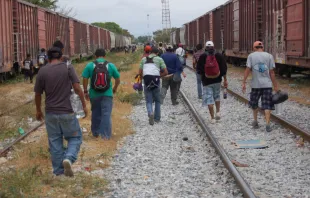 Central American migrants and asylum seekers prepare to board a freight train in Oaxaca, Mexico. Joseph Sorrentino / Shutterstock