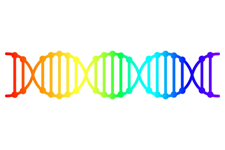 LGBT DNA rainbow card. Via Shutterstock?w=200&h=150