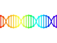 LGBT DNA rainbow card. Via Shutterstock