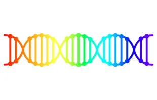 LGBT DNA rainbow card. Via Shutterstock 