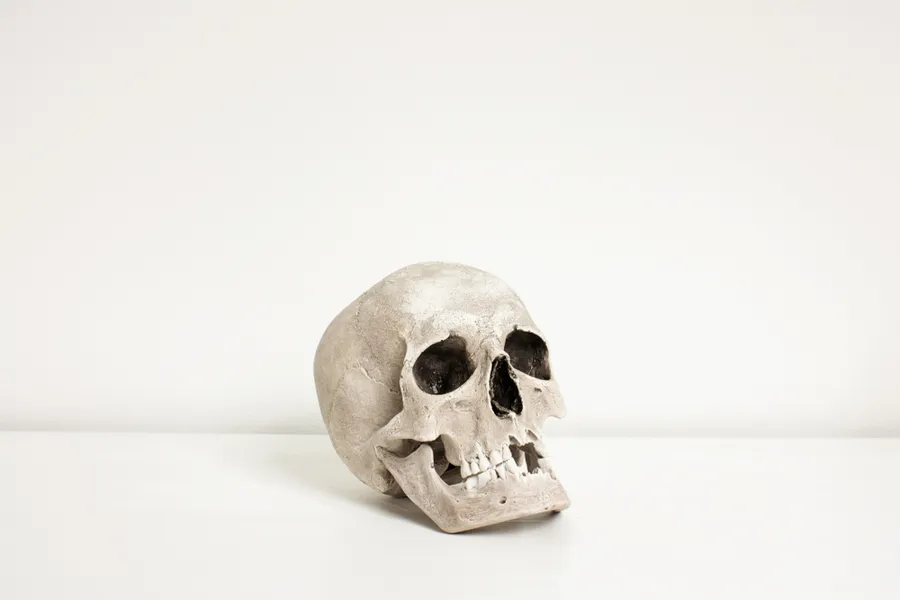 Stock image of skull. ?w=200&h=150