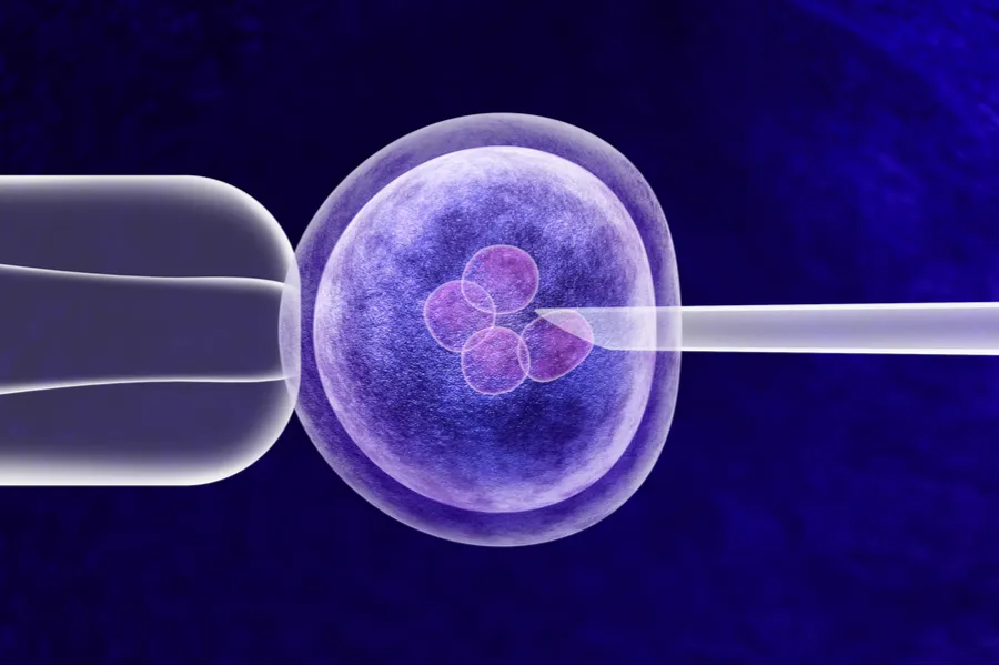 Gene editing in vitro genetic CRISPR genome engineering medical biotechnology health care concept with a fertilized human egg embryo and a group of dividing cells as a 3D illustration. Via Shutterstoc?w=200&h=150