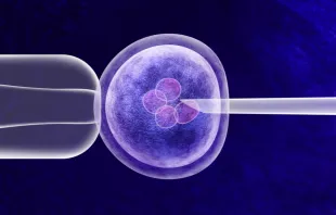 Gene editing in vitro genetic CRISPR genome engineering medical biotechnology health care concept with a fertilized human egg embryo and a group of dividing cells as a 3D illustration. Via Shutterstoc 