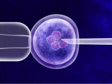 Gene editing in vitro genetic CRISPR genome engineering medical biotechnology health care concept with a fertilized human egg embryo and a group of dividing cells as a 3D illustration. Via Shutterstoc