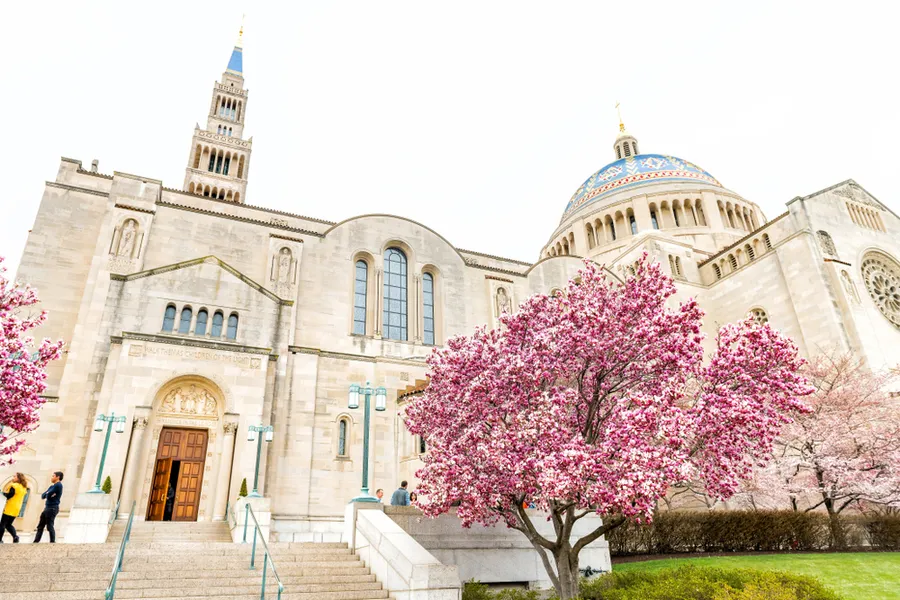 Basilica of National Shrine of Immaculate Conception. ?w=200&h=150