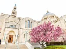 Basilica of National Shrine of Immaculate Conception. 