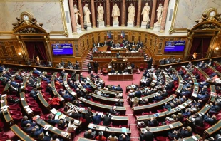 French Senate in June, 2019.   Jo Bouroch/Shutterstock