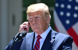 President Donald Trump. Evan El-Amin/Shutterstock