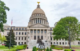Mississippi state capitol, Jackson.   Paul Brady Photography/Shutterstock