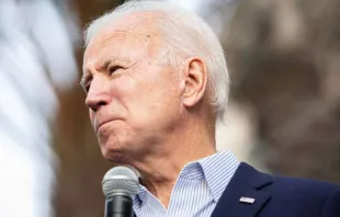 Former vice president Joe Biden at a campaign event, Nov, 2019.   YASAMIN JAFARI TEHRANI/Shutterstock