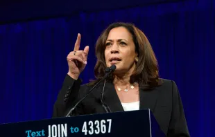 Sen. Kamala Harris at the Democratic National Convention in San Francisco, California, 2019. Sheila Fitzgerald/Shutterstock