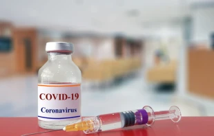 Stock image.   joel bubble ben/Shutterstock