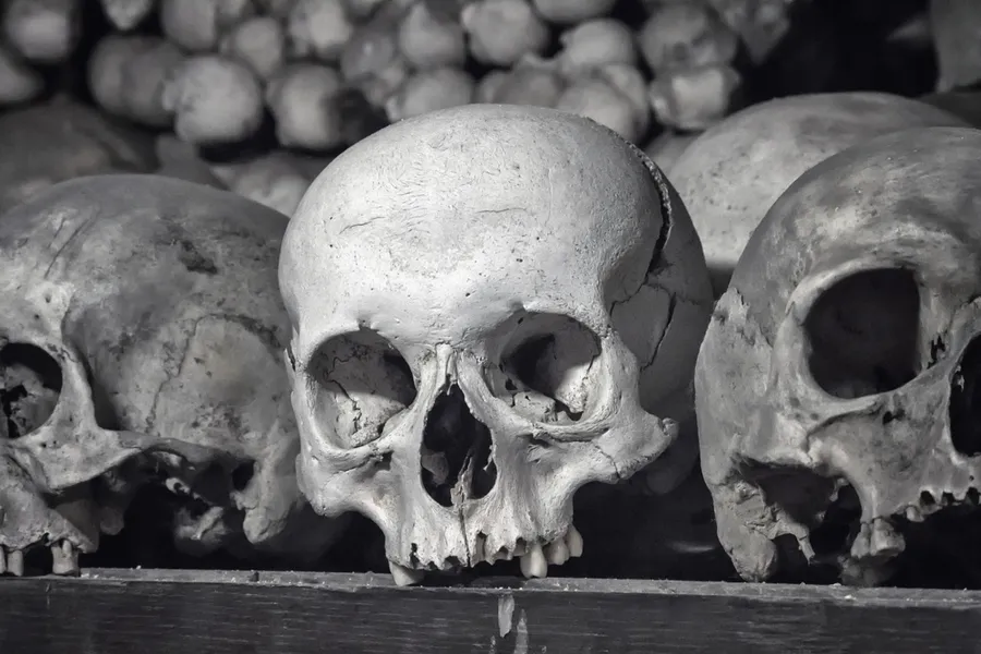 Skulls on a church shelf. ?w=200&h=150