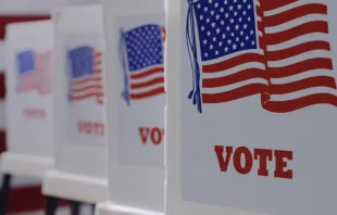 Voting booths on Election Day. Credit: vesperstock/Shutterstock