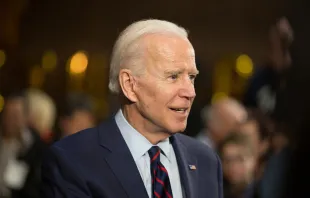 President-elect Joe Biden.   Trevor Bexon/Shutterstock