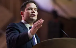 Sen. Marco Rubio addresses the Conservative Political Action Conference in 2014.   Christopher Halloran / Shutterstock
